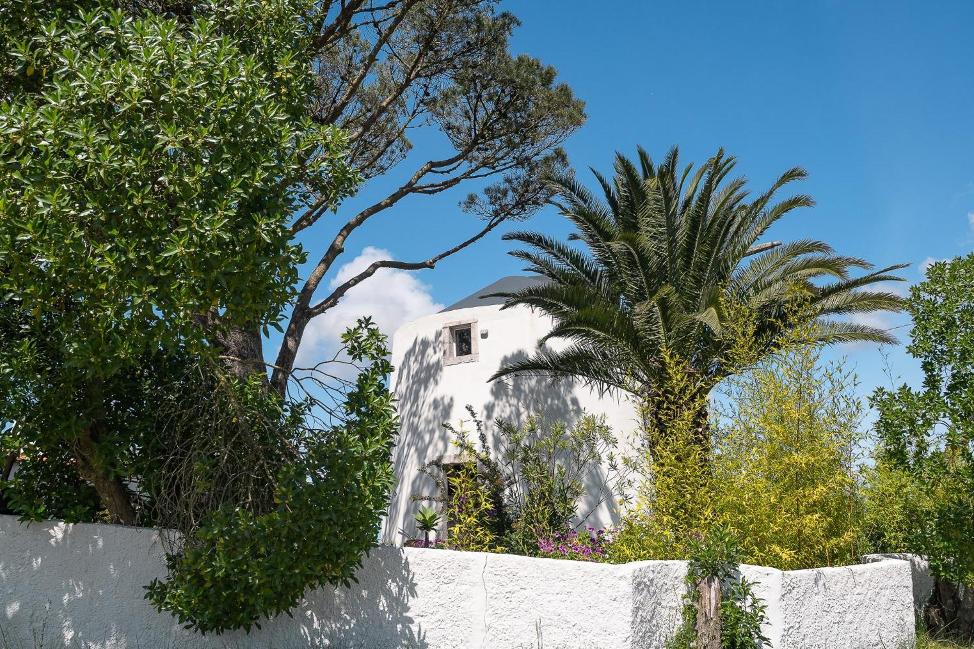 New! Windmill In The Midst Of Nature Villa Mafra Exterior photo